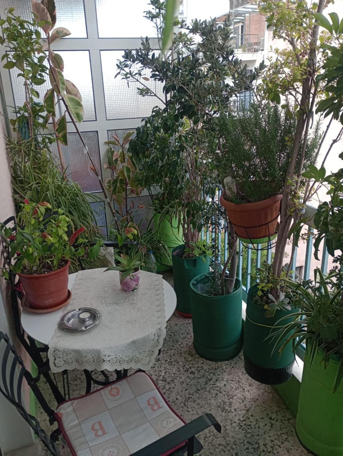 Athens Neoclassical Экстерьер фото
